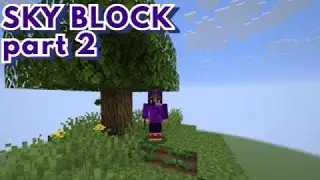 Skyblock: a carrot start | Skyblock part 2