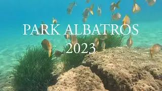 Park Albatros - San Vincenzo 2023