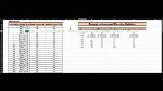 Python in Excel Rename columns and Describe