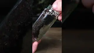Turning a Spice Jar Into a Terrarium!