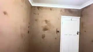 Plastering a whole room in 1 go.