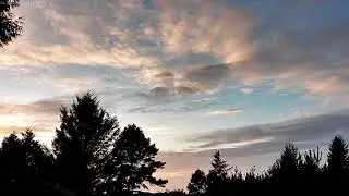 New Spectacular  White Pink Blue Sunset Over Ocean w Birds Set to Ocean Water Tracks FT Deer!