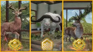 OS 3 ANIMAIS MAIS RAROS QUE EU ENCONTREI NO JOGO - THE HUNTER CALL OF THE WILD