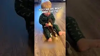 Little Boy And Little Dog Became Best Friends ❤️