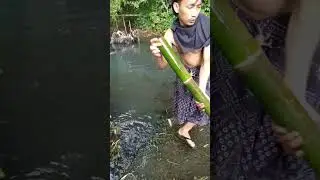 unexpected fortune #reels #animalfish #viral