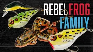 Beyond the Buzz: Unveiling the Rebel Frog Family of Lures