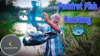 How To Catch Fish | Pomfret Fish Catching | Fishing Video ||#fishing #fishingvideo #fishingtips