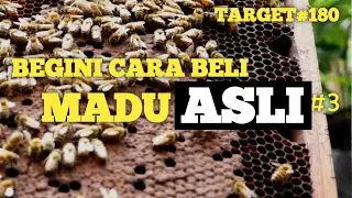 Begini Cara Membeli Madu Asli | Target (3)