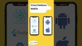 Types of Mobile Application Development | Colourmoon Technologies