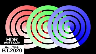 10bit HDR, BT 2020, 2K, Saturation Gradient Chart, r=Color depth, theta=Saturation, V=10000nits