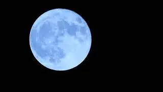 Moon and sounds of the forest 10 hours full HD / Луна и звуки леса 10 часов.