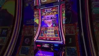 Highest Minor bonus （43）on $15 Cats slot machine on YouTube&hellip; amazing handpay #slots