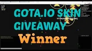 GOTA.IO SKIN GIVEAWAY WINNER!