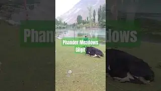 Phander Meadows #phander