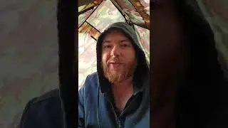 Избавился ли я от этой кучи похмелья и угрызений совести? 28 января 2026 года.