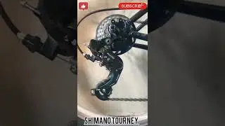 Shimano tourney gear