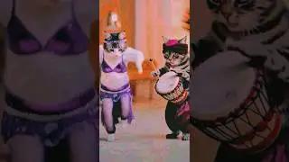 Dancing cat.. 🎶 #music #dance #cat #dhol #dholbeat #viralvideo #shorts #shortsfeed #song #punjabi