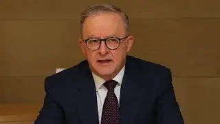 ‘Appeasement’: Albanese has handed Hamas a ‘political victory’