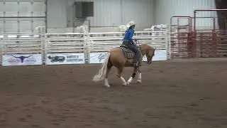 Sydney Jackson Performance Horses   Alexandra Jo Sparrow riding Mcrooster   Score 70 IRHA Youth June