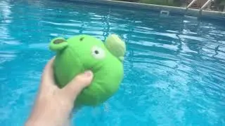 Green Piggy Underwater
