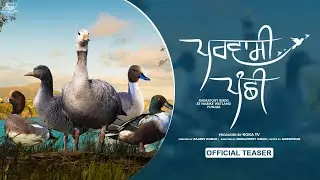 Parvaasi Panchhi (Official Teaser) | Hoka TV | Migratory Birds At Harike Wetland Punjab