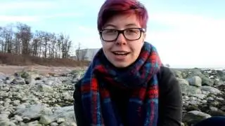 Warum Estland als Austauschland? / Why Estonia as exchange country? *english subs*