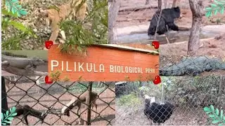 Pilikula Biological Park | Zoo in Mangaluru | Pilikula Nisargadhama | Must Visit place in Mangalore