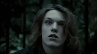 (4K) Green Finch & Linnet Bird (Sweeney Todd)