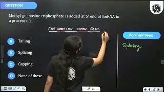 Methyl guanosine triphosphate is added at \(5^{\prime}\) end of hnRNA in a process of;&nbsp;....