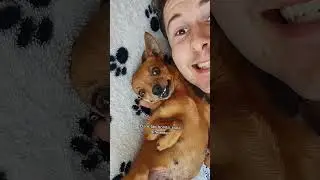 Lola &eacute; t&atilde;o bonita...