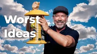 The Most Hilarious DIY Bird Feeder Fails