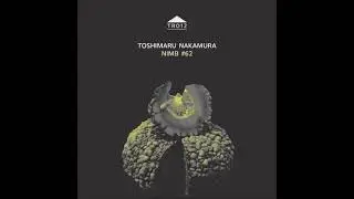 Toshimaru Nakamura (Japan) - NIMB #62 (EP 2021)