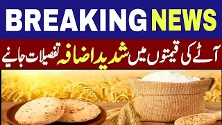 Today wheat prices in Pakistan | Flour Mills Rate | KPK Wheat update | Breaking news today 