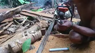 Nyenso lagi gaes kayu ulin || gergaji mesin chainsaw stihl 070