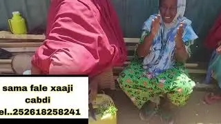 2/2/2026 maam saluuma duc qabto