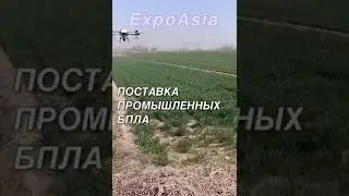 Использование дронов в сельском хозяйстве