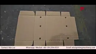 Flexo Printer Slotter Die Cut Stacker For Carton Box