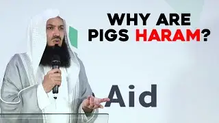 Why are pigs haram? | Mufti Menk