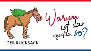 Das K&ouml;rpermilieu erkl&auml;rt &ndash; Der Rucksack (Pferd)