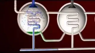 MED Desalination Process