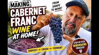 How to make red wine from grapes -  Cab Franc Grapes  -  The Hombre Cave