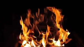 🔥 Sonido de Chimenea Real | 3:08 Horas de Fogata para Dormir y Relajarse📝