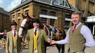 2021 For our Shire Horse Team