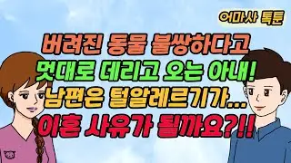 (사이다 톡툰) 버려진 동물 불쌍하다고멋대로 데리고 오는 아내! 남편은 털알레르기가...이혼사유가 될까요?