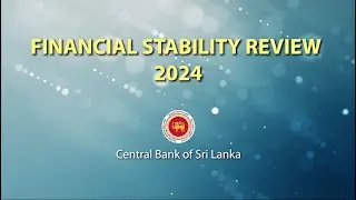Financial Stability Review - 2024