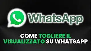 Come TOGLIERE VISUALIZZATO su WhatsApp - Guida Pratica per Principianti