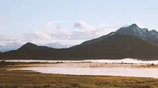 relaxdaily - N&deg;114 (light and calm music for studying, focus, think, heal, grow)