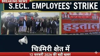 GROUND NEWS CG | SECL Employee Strike | 12 Feb 2026