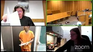 Courtroom Zoom Call Reveals Surprising Moments During Extradition Hearing