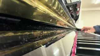 【120日目】/366日〜節目だから上級編メインで最後まで弾く